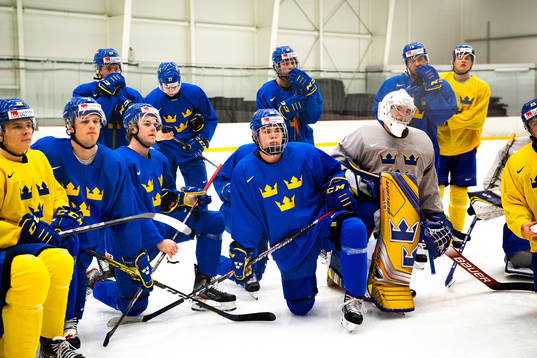 Players of Sweden
