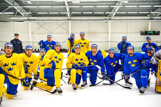 Players of Sweden