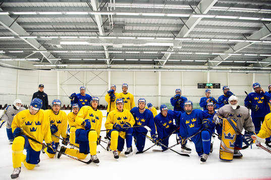 Players of Sweden