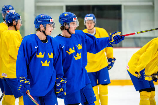 Nils Höglander and Samuel Fagemo of Sweden