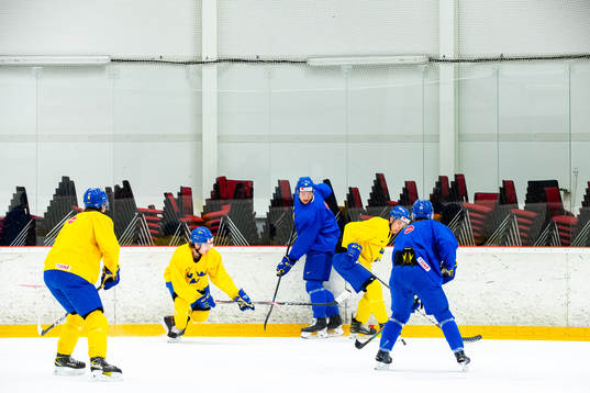 Players of Sweden