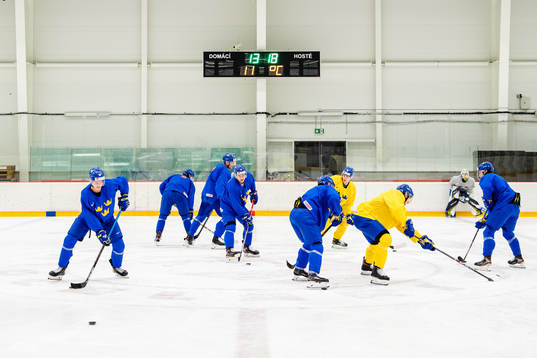 Players of Sweden
