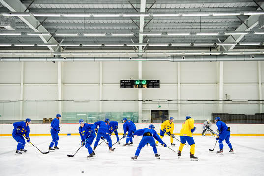 Players of Sweden