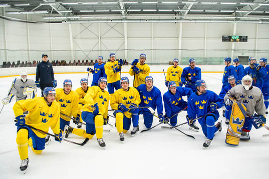Players of Sweden