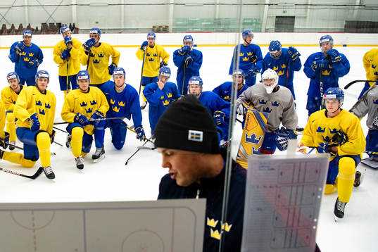 Players of Sweden