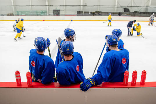 Players of Sweden
