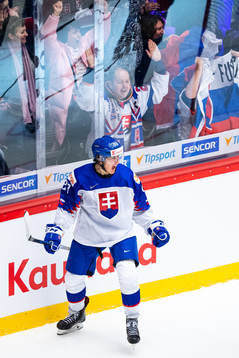 Daniel Vladimir Tkac of Slovakia celebrates the 2-1 goal