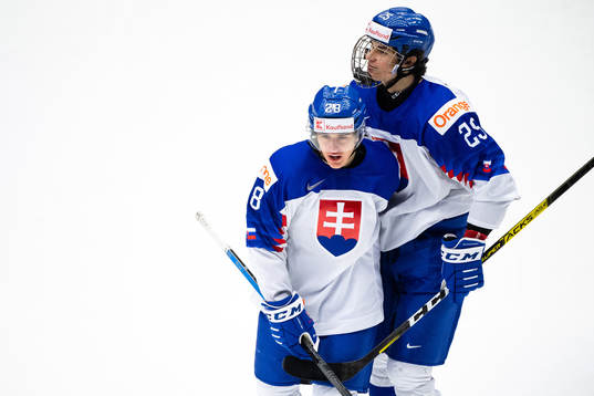 Daniel Vladimir Tkac and Michal Mrazik of Slovakia