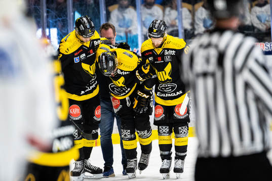 Västerås Erik De la Rose får hjälp av isen