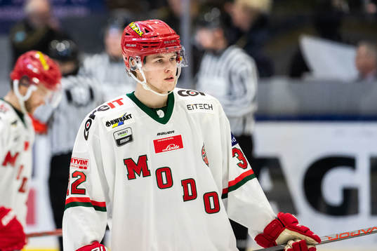 Modos Max Wahlgren