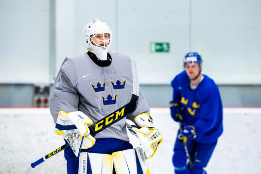 Goalkeeper Jesper Eliasson of Sweden