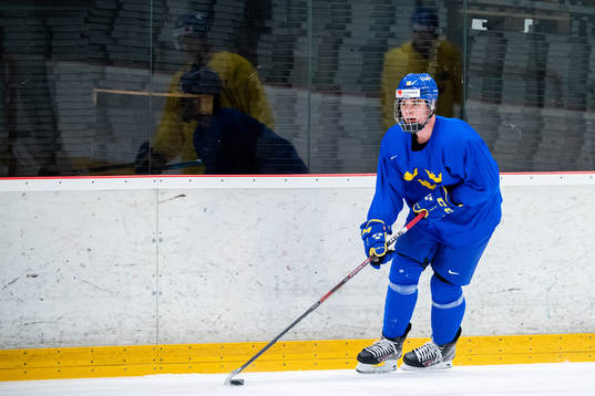 Alexander Holtz of Sweden
