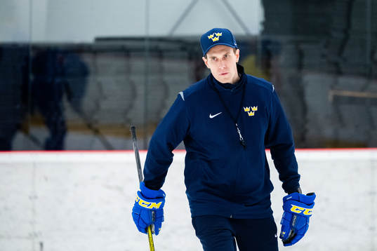 Joel Rönnmark, Assistant coach of Sweden