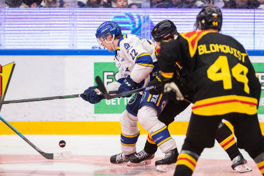 Leksands Sebastian Wännström