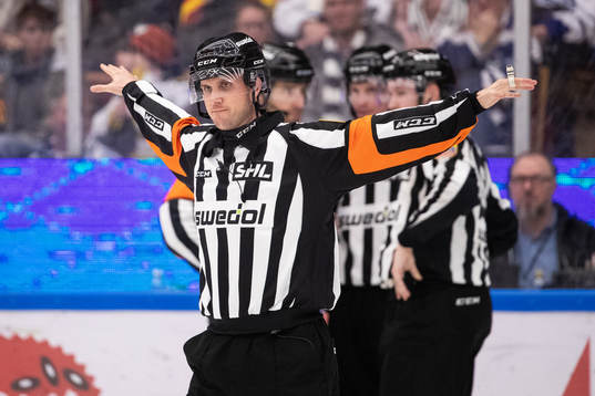 Huvuddomare Patric Bjälkander