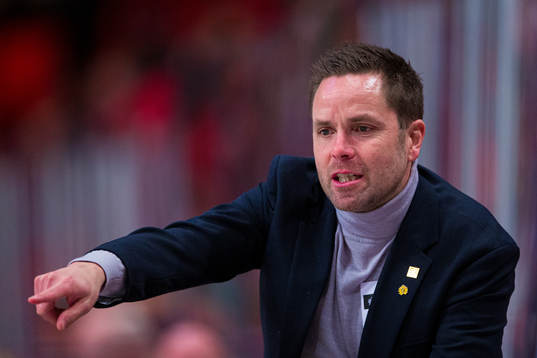 Skellefteås assisterande tränare Stefan Hedlund