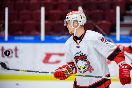 Malmö Redhawks Max Görtz