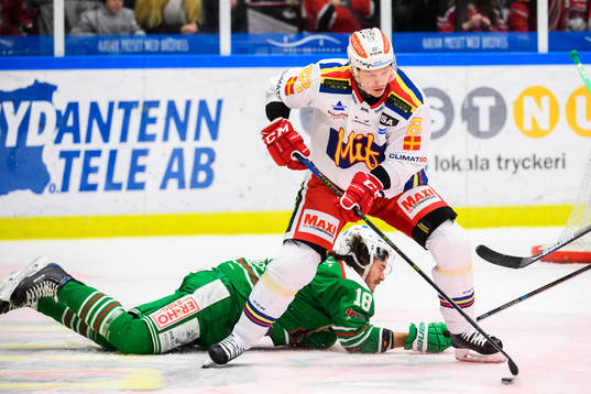 Malmö Redhawks Lars Bryggman och Rögles Dennis Everberg