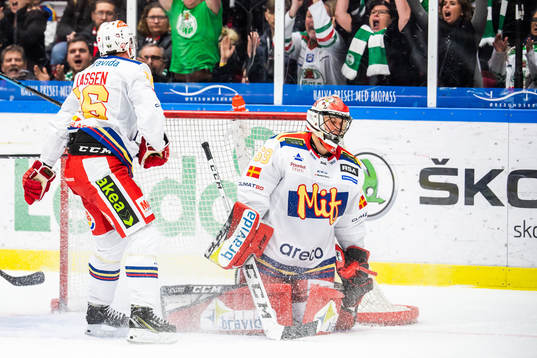 Malmö Redhawks målvakt Oscar Alsenfelt deppar