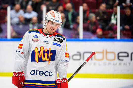 Malmö Redhawks Marcus Björk deppar