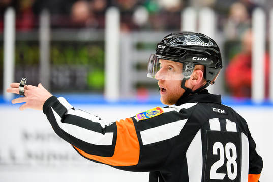 Domare Mikael Holm