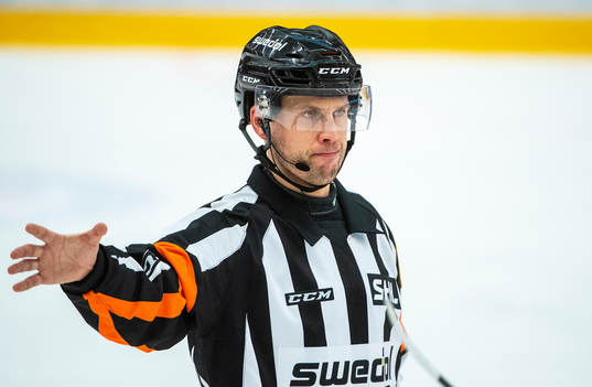 Domare Johan Magnusson