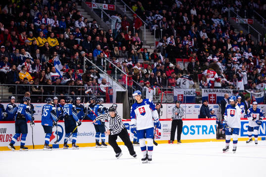 Martin Vitalos of Slovakia looks dejected
