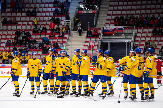 Players of Sweden