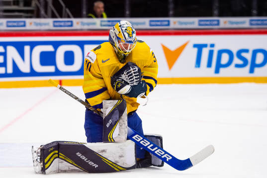 Goalkeeper Hugo Alnefelt of Sweden
