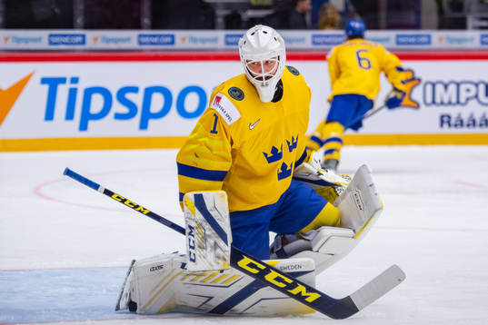 Goalkeeper Jesper Eliasson of Sweden