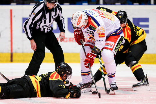 Malmö Redhawks Fredrik Händemark och Brynäs Greg Scott