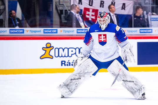 Goalkeeper Samuel Vyletekla of Slovakia