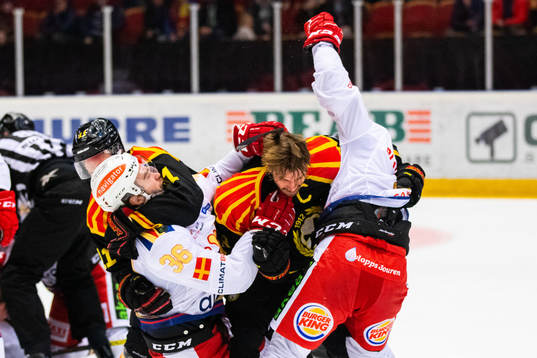 Brynäs Josef Ingman, Anton Rödin och Malmö Redhawks