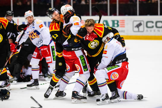 Brynäs Josef Ingman, Anton Rödin och Malmö Redhawks
