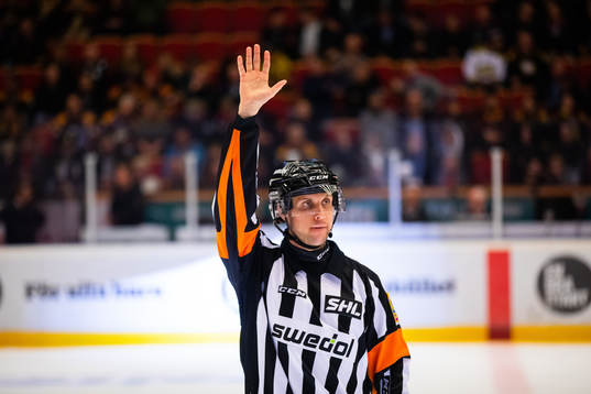 Domare Patric Bjälkander