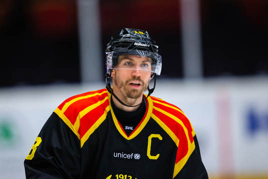 Brynäs Anton Rödin