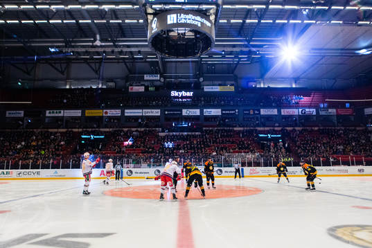 Monitor ERP Arena