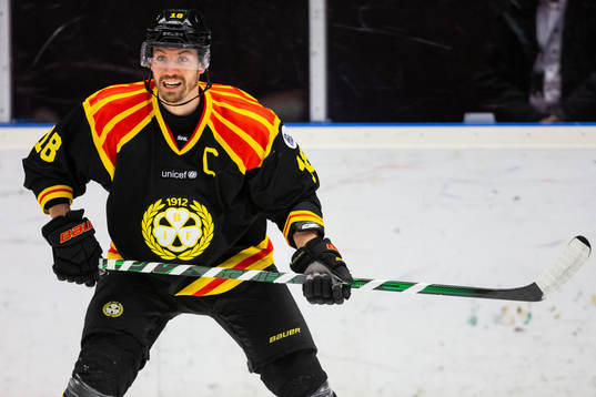 Brynäs Anton Rödin