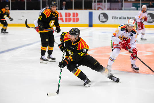 Brynäs Anton Rödin