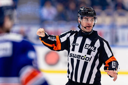Domare Richard Magnusson