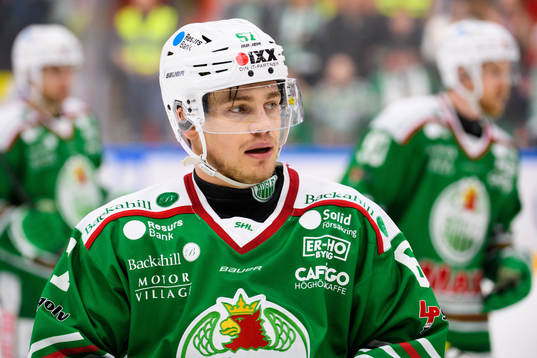 Rögles Leon Bristedt