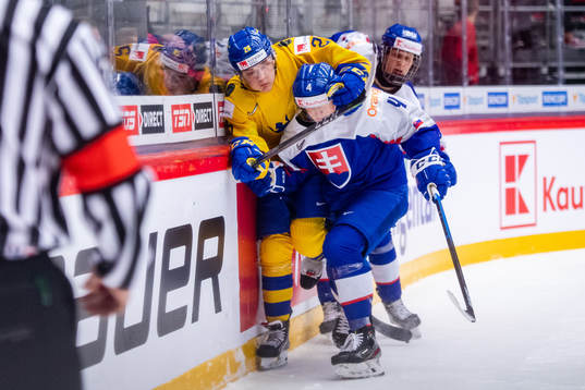 Jonatan Berggren of Sweden and David Mudrak of Slovakia