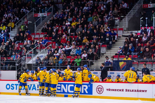 Goal review