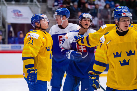 Nils Höglander of Sweden in pain