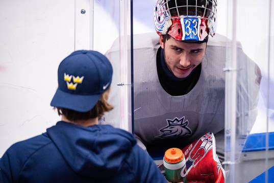 Bläddra bland fler bilder av 2020 IIHF World Junior Championship, day 7, Czech Republic, Practice