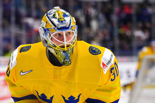 Goalkeeper Hugo Alnefelt of Sweden