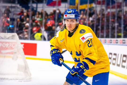 Nikola Pasic of Sweden