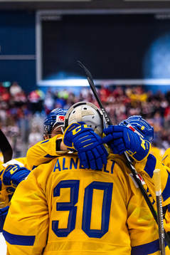 Goalkeeper Hugo Alnefelt of Sweden celebrates