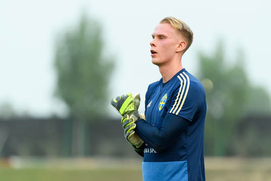 Goalkeeper Pontus Dahlberg