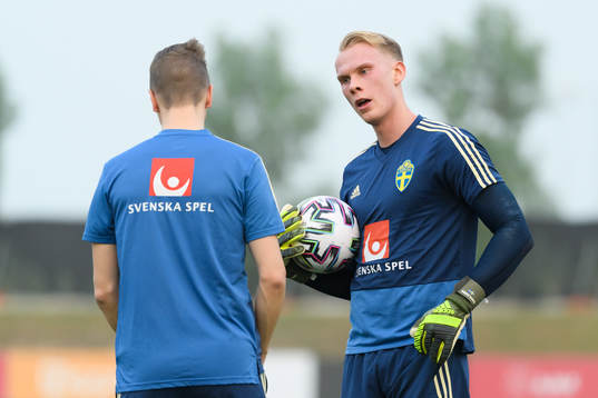 Goalkeeper Pontus Dahlberg
